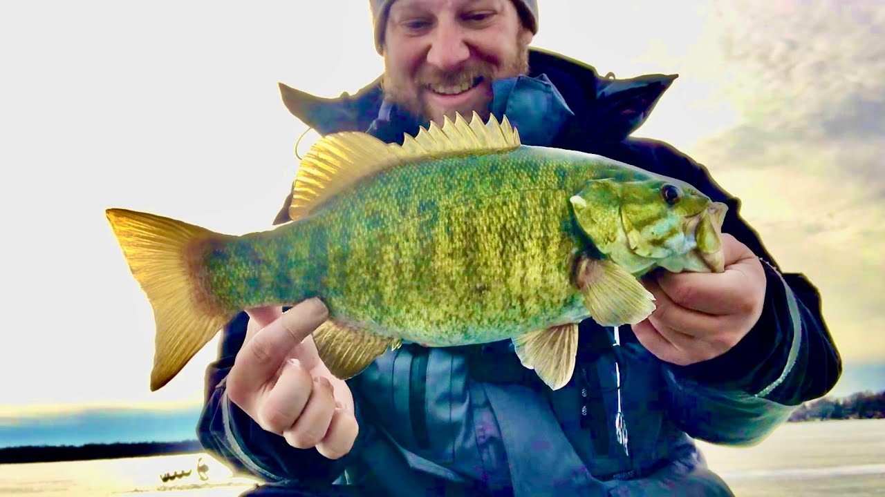 Ice Fishing for Smallmouth Bass! These things were GIANTS! YouTube