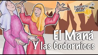 El Maná y las Codornices