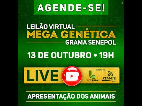 LIVE Mega Leilão Genética GRAMA SENEPOL