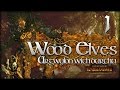 [1] Total War: WARHAMMER - Realm of the Wood Elves (Argwylon) - DURTHU OAKHEART