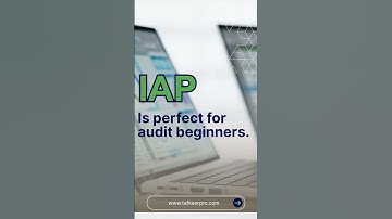 IAP – Internal Audit Practitioner