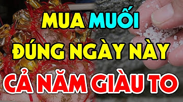 MUA MUỐI Vào Đúng NGÀY TẾT Này Gia Chủ Sẽ GIÀU LÊN TRÔNG THẤY, Tiền Bạc Ùn Ùn Kéo Vào Cả Năm