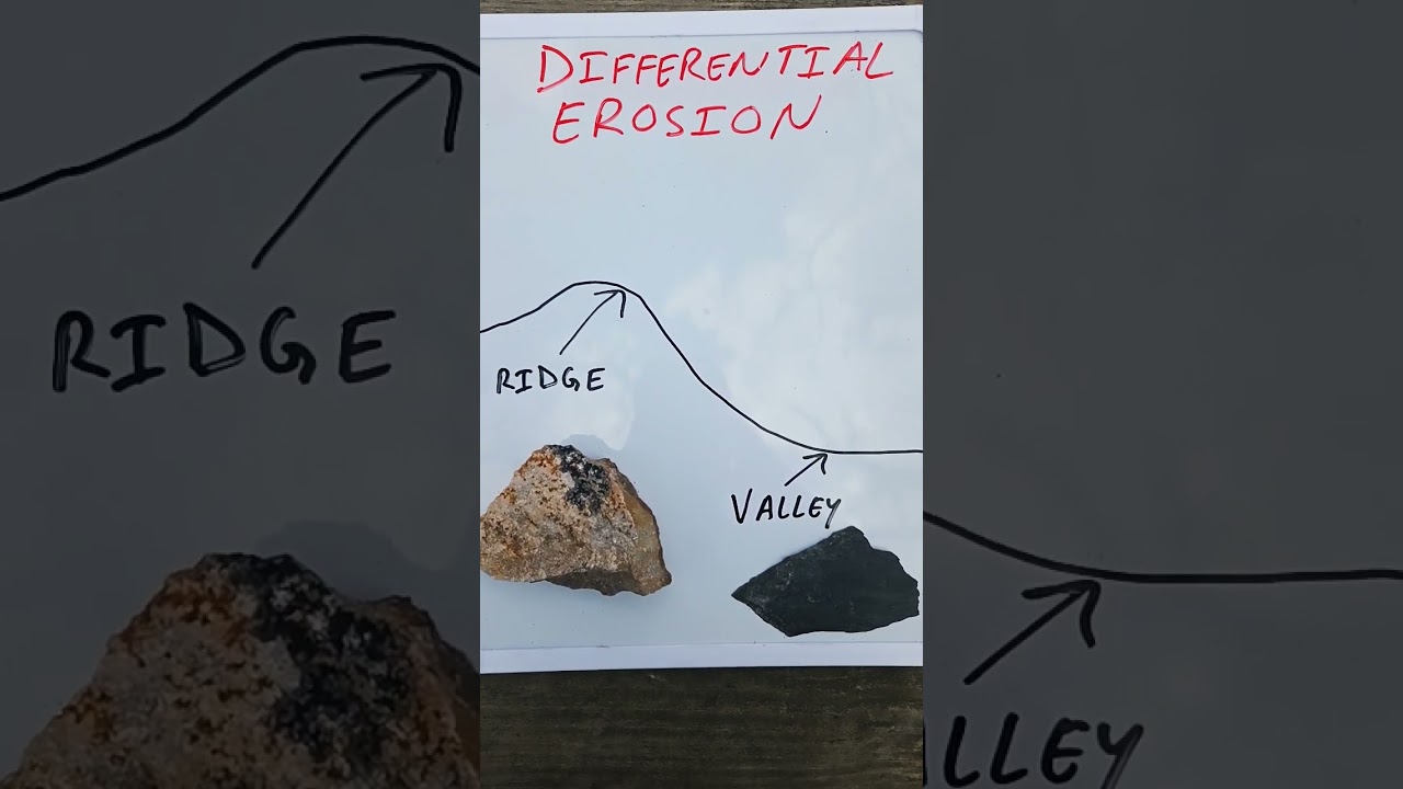 What rocks form the Ridges and Valleys of the Appalachians? 