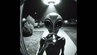 Mavo X Zaylevelten X Wavetar X Afrobeat Type Beat  Btc Supply