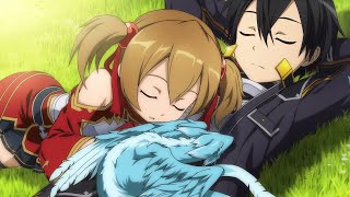Sword Art Online Hollow Fragment Afternoon Nap