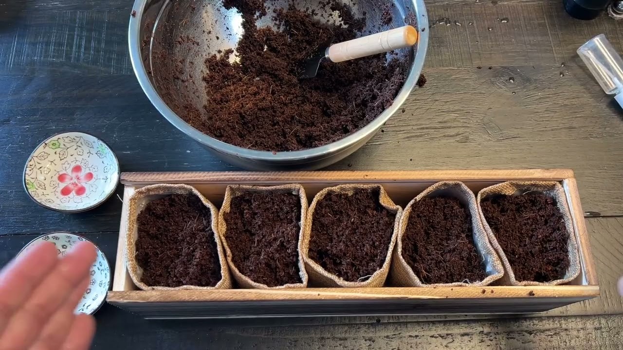 ROOTCRAFT Indoor Herb Garden Kit Review – Grow Fresh Herbs in Your Kitchen! 