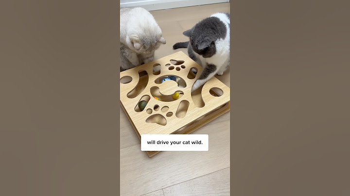 This makes your cat THINK🤔