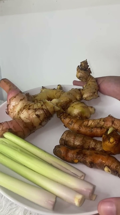 Ramuan Ampuh Mengecilkan Perut Buncit #fyp #shorts #fypシ #reels #resep #foryou #ramuan #shortvideo