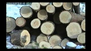 "Закон и порядок" выпуск от 18.04.2015 г. "Закон и порядок" выпуск от 18.04.2015 г.