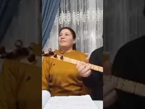 Gelsene Meyrocan Arabali