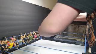 HOW TO PIC FED WWE MOVES WITH WWE ACTION FIGURE EPISODE 2