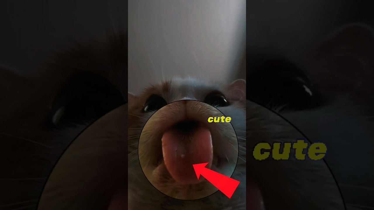 Когда ваш кот ведёт себя как ребёнок. Часть 4 🍼😺 #кот #милый #котёнок #смешной #любителикошек #ко...