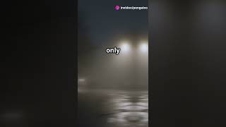 The Haunted Bus With No Destination  Bus 666 thailand