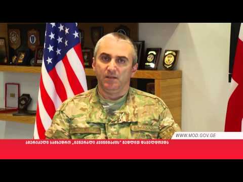 ამერიკელი სამხედრო „გენერალი კვინიტაძის“ მედლით დაჯილდოვდა