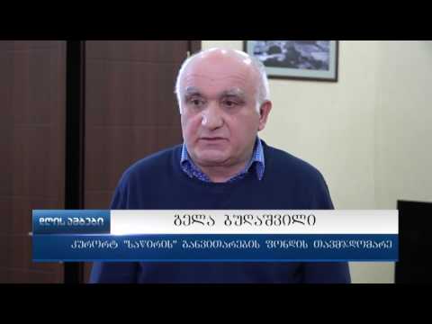 \"საწირე-მომავლის-სოფელი\"_ პროექტი, რომელიც კურორტულ ზონას განავითარებს