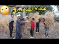 عصابة الحاج صديق لسرقة القمح من الجرون شوف حصل فيهم ايه
