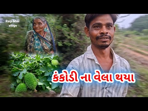 કંકોડી ના વેલા થયા | kankodi na vela tya |raiji bhai vlog #viralvideo 