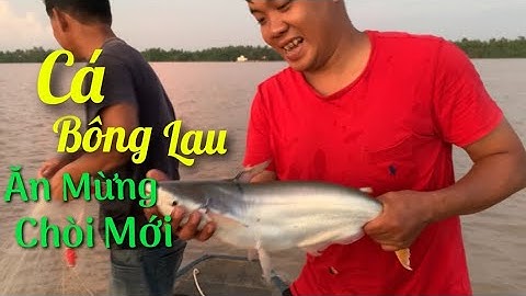 Quét lưới dính CÁ BÔNG LAU về nấu lẩu bần ăn mừng tân chòi cùng anh em | Cù Lao Dung Vlogs #152