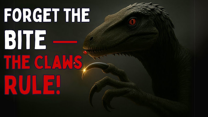 Megaraptor: When Claws Beat T-Rex’s Bite