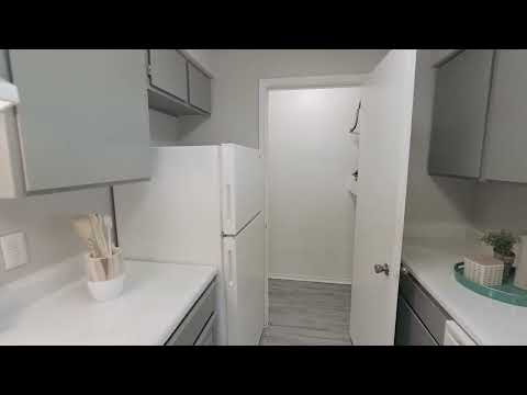 7550 South Westmoreland Road, Dallas, TX home video tour