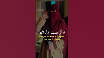 سورة الفيل #المصحف #قرآن #اكسبلور