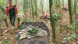 Single mother went into the deep forest to find bamboo shoots to eat and encountered many things