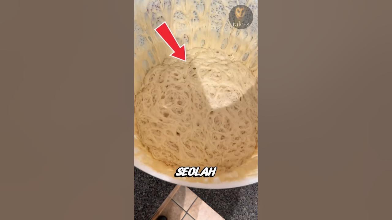 Kamu Nggak Nyangka... Roti Ini Hidup! Kamu Nggak Nyangka... Roti Ini Hidup!