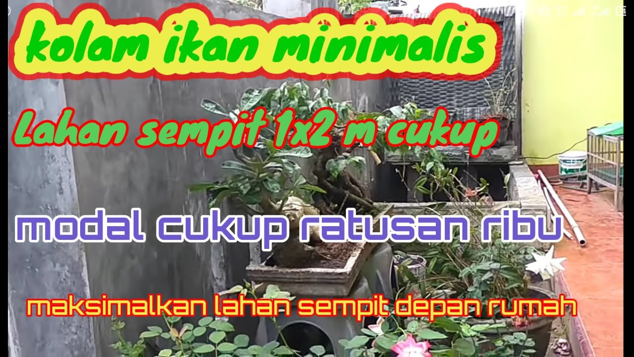  Kolam  ikan  dan  taman  minimalis  dilahan sempit YouTube