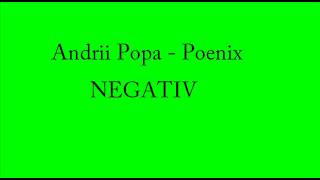 ANDRII POPA - PHOENIX - NEGATIV