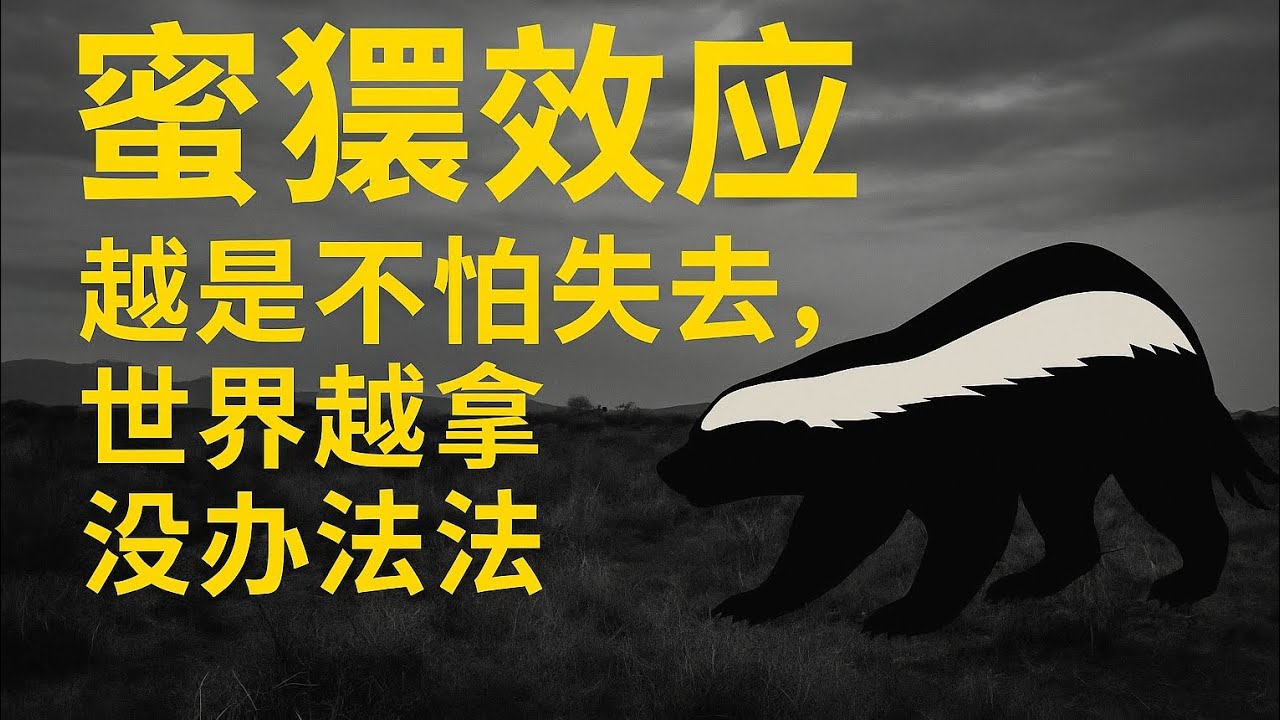 《蜜獾效应：当你不再害怕失去，世界才真正拿你没办法》