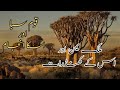 Historical places of yaman and nation of saba  qom e saba or yaman k khandraat