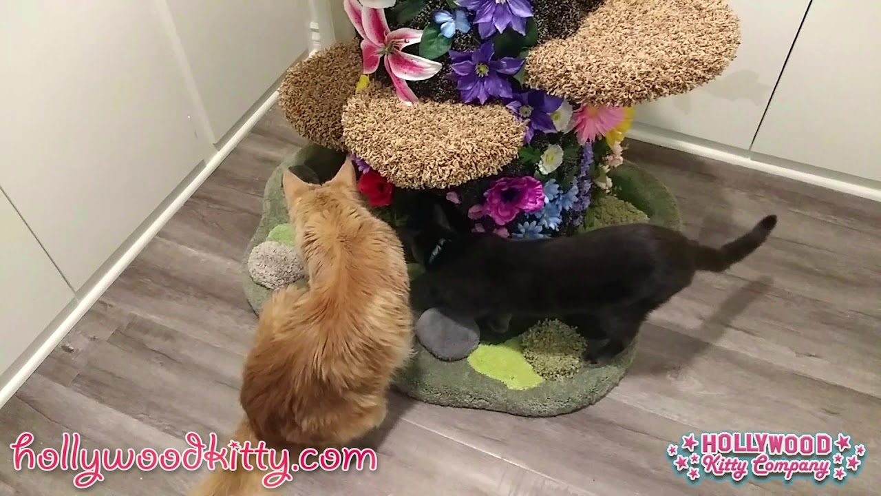 Enchanted Garden Tree Stump Condo YouTube