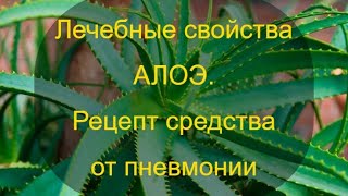 Лечебные свойства алоэ