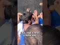 खूब आंखों से लगाया है गिलाफे काबा #kaba #shareef #shorts