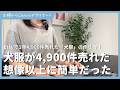 【Canva副業】犬服がEtsyで4,900件売れた方法が想像以上に簡単だった