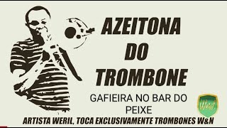 Video thumbnail of "Gafieira no Bar do Peixe (Klenio Barros/ Arr. Igo Wendel)"
