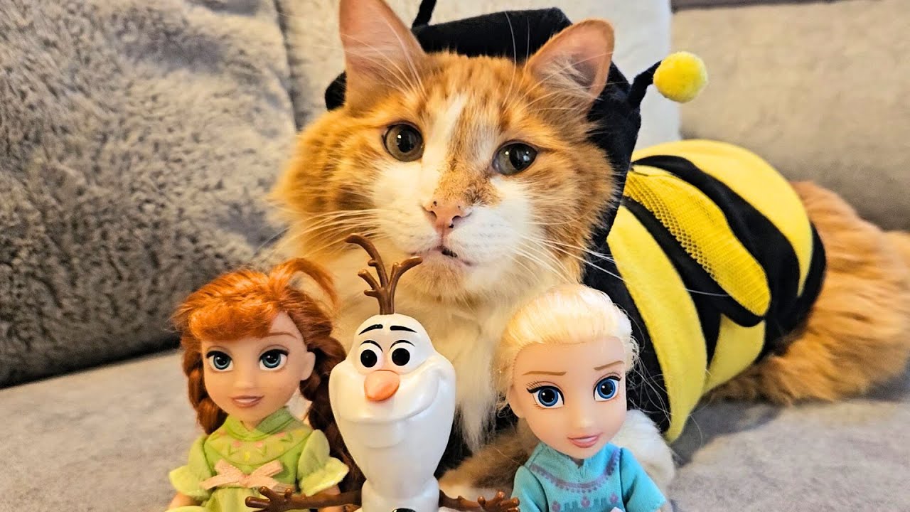 EL GATO MÁGICO - FROZEN - Olaf, Elsa y Ana