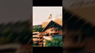 Do You Like This IIT Delhi Edits ❤️‍🩹| #motivation #iit #jee #viral
