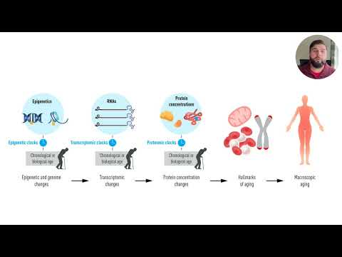 The Secrets of Epigenetic Aging | How to Slow Down Your Biological Clock