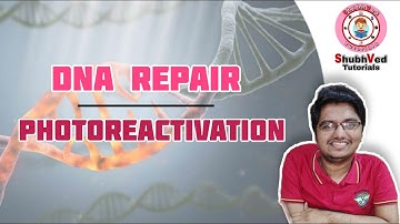 DNA Repair | Photoreactivation | Direct reversal of DNA damage