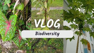 Biodiversity Vlog