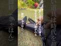 戦国の道具が庭師の道具に生まれ変わった。撮影しても大丈夫なのを撮ってます📹#豊臣ミュージアム