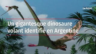 Un gigantesque dinosaure volant identifié en Argentine