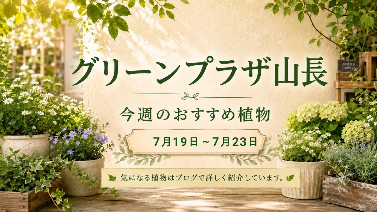 Recommended Plants: July 19th–July 23rd Summary - YouTube