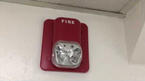 System Sensor S1224MC SpectrAlert Classic remote strobe in the mens bathroom at my high school