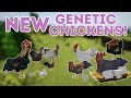 Breeding the new chickens from genetic animals mod minecraft