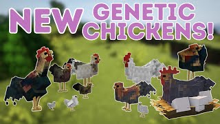 Breeding the NEW chickens from Genetic Animals Mod! Minecraft