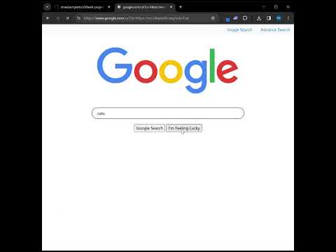 Harvard CS50 Web | Project 0: Search