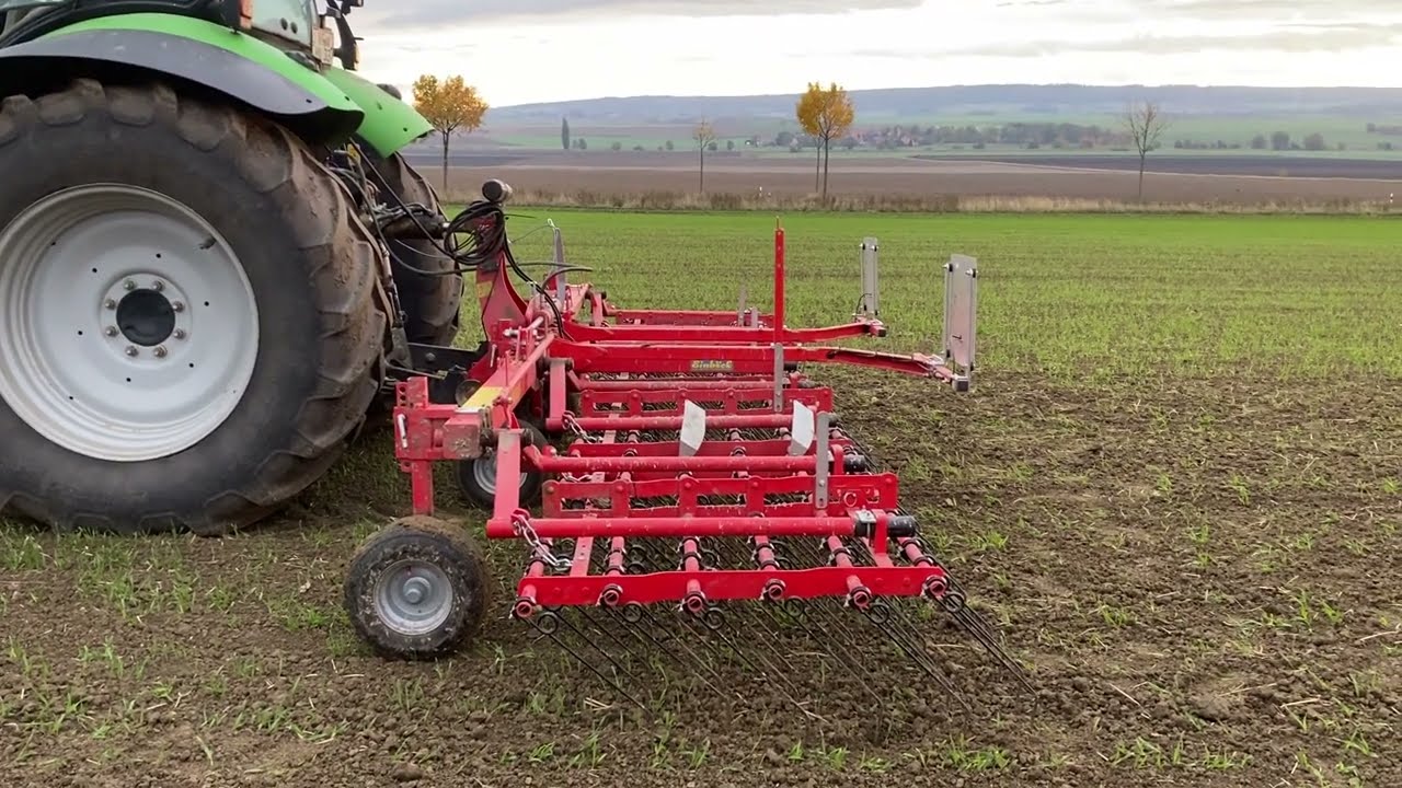 Herbstzeit  Striegelzeit