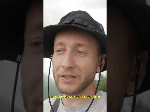 Уставшие лошади и